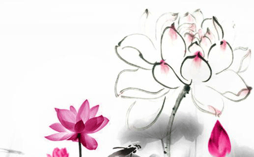 61dcd62b41842.png