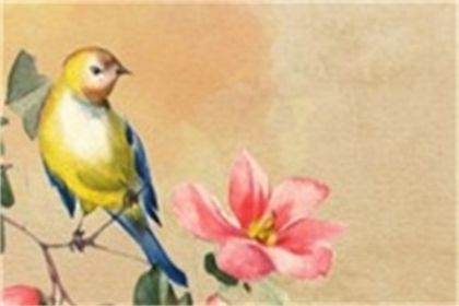 74年属虎大溪水命缺什么