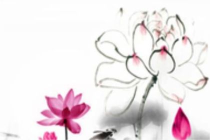 2022年霜降节气是哪一天