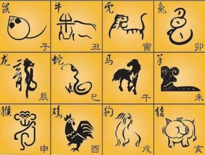 鸡和狗在一起对谁不利