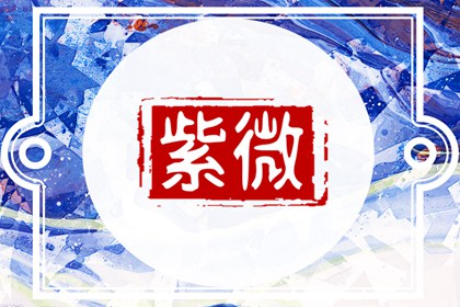 紫微斗数各星入兄弟宫详解