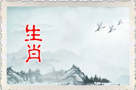 2025年1月16日属什么生肖