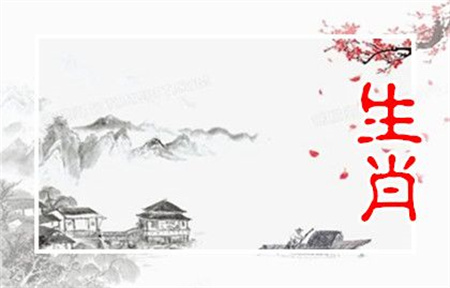 2025年2月24日冲什么生肖