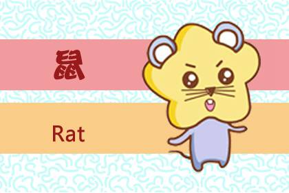 今天冲什么生肖