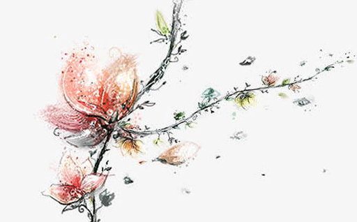 61ee03268a531.png
