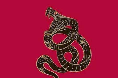 属蛇和属蛇结婚好不好