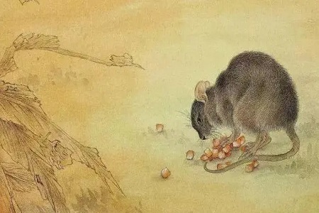 属鼠2022年下半年每月运势