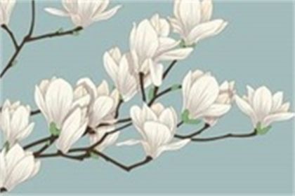 属马2023年春节前后有喜事吗