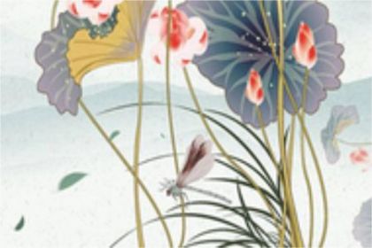 属虎和属什么在一起合财