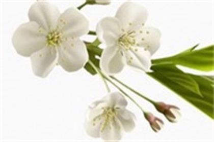 2023年巨蟹座秋季桃花运分析