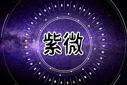 紫微斗数看学业哪个宫位