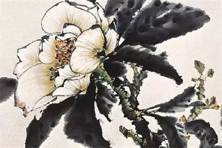 2023年9月26日冲什么生肖