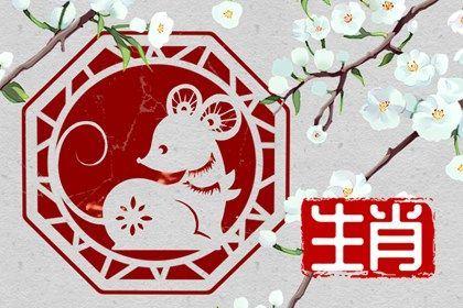 1972年属鼠男2024年运势及运程详解