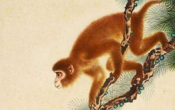 1968年属猴男2024年运势及运程详解