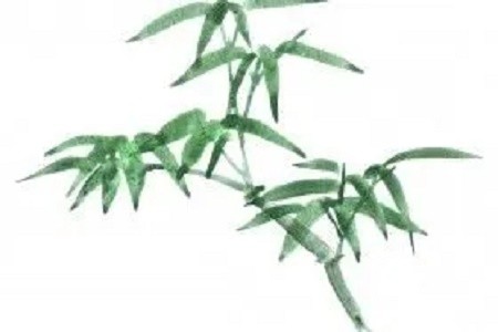 属兔的几月出生最好命