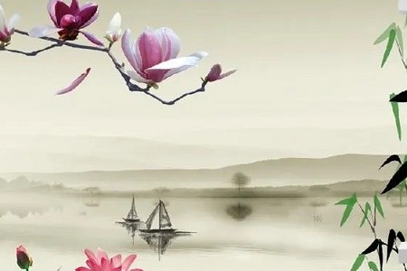 2009年属什么生肖五行属什么