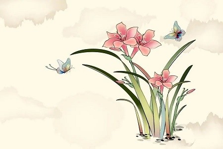 2013属什么生肖今年多大了