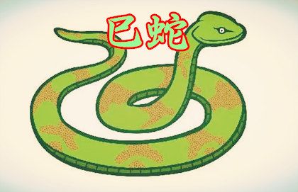 2024年属蛇适合结婚吗